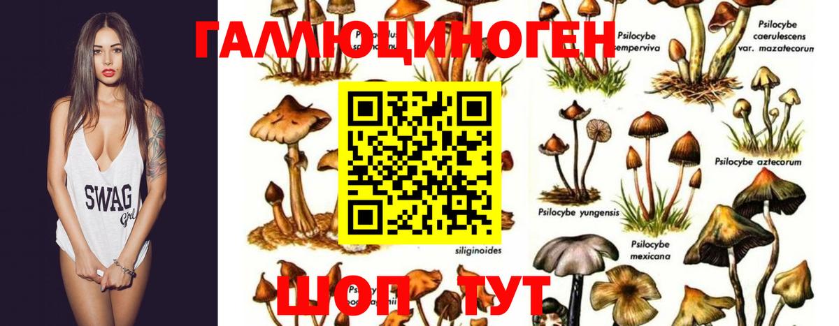 Псилоцибиновые грибы мухоморы Нурлат